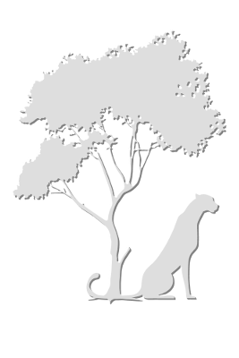 Wild, par Xavier E. G. Dierick